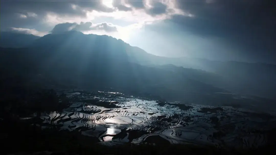 揭秘职场纪录辞典